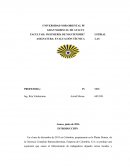 Evaluacion de Fallas en ECOPETROL BARRANCABERMEJA