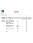 Práctica De Proyección Comunitaria Y Ocupacional.