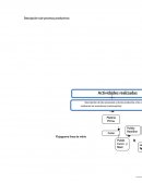 Descripción sub-procesos productivos