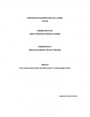De la justicia penal hacia la justicia social: La criminología critica