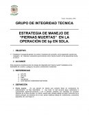 ESTRATEGIA DE MANEJO DE “PIERNAS MUERTAS” EN LA OPERACIÓN DE bp EN SDLA.