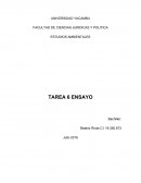 Las energías renovables.