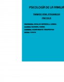 TRABAJO FINAL INTEGRADOR.