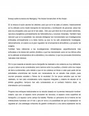 Ensayo sobre la lectura de Steingerg: The Social Construction of the Ocean