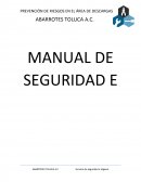 Manual de seguridad e higiene.