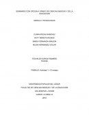 TRABAJO: Actividad 1 – El ensayo