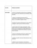 FACTOR TRABAJO EN EQUIPO
