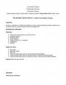 Pre Informe Microbiología