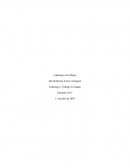Semana 3 tarea David torres Liderazgo y trabajo en equipo