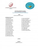 Proyecto de bien comun