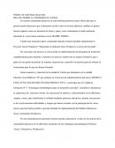 PERFIL DE SISTEMATIZACION RELATO SOBRE LA EXPERIENCIA VIVIDA