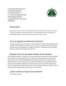 El Reino de los Monos