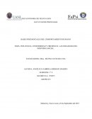 INFLUENCIA CONFORMIDAD Y OBEDIENCIA.