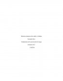 Tarea 1 fundamentos de la prevención.