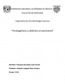 Tetatogenesis y defectos al nacimiento