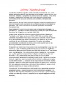 Informe soja en argentina