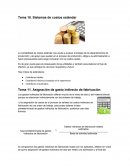 Tema 10. Sistemas de costos estándar.