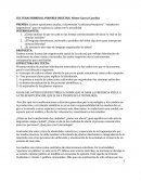 Sintesis Hibridacion Cultural