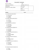 Test Sistemas del cuerpo humano niveles 3 4 5 basico