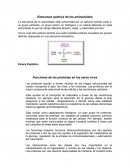 Con lo cual este carbono tendría sus cuatro posibles enlaces ocupados por grupos distintos dispuestos en una estructura tetraédrica.