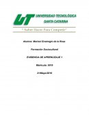 Análisis de la situación desde distintas perspectivas.