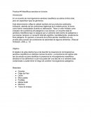 En el recuento de microrganismos aerobios mesófilicos se estima la flora total, pero sin especificar tipos de gérmenes.