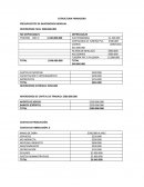 ESTRUCTURA FINANCIERA PRESUPUESTOS DE INVERSIONES MENSUAL