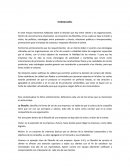 En este ensayo estaremos hablando sobre la relación que hay entre cliente y las organizaciones.