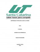 EVIDENCIA DE APRENDIZAJE TOMA DE DECISIONES