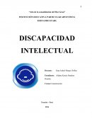 Discapacidad Mental