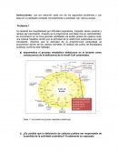 Problemas Rutas metabolicas