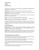 Hormigon en estado fresco.