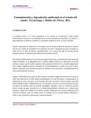 Zonificacion de un cultivo en Arcgis.