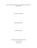 Cómo se puede estimular las bases neurofisiológicas de los niños en sus diferentes etapas?