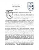 TEORIAS SOBRE EL DESARROLLO-