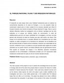 Parque Nacional Cajas y sus Riquezas Naturales