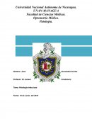 Patología de la infecciones.