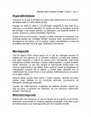 Patologias Espondilolistesis