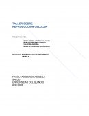 PROGRAMA: SEGURIDAD Y SALUD EN EL TRABJO.