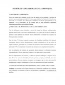 petróleo y desarrollo en la orinoquia