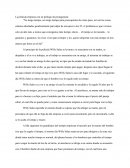 Ensayo el precio del mañana.