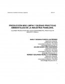 PRODUCCIÓN MÁS LIMPIA Y BUENAS PRÁCTICAS AMBIENTALES EN LA INDUSTRIA PANELERA.