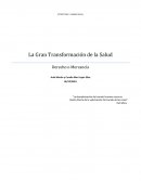 Las gran transformacion de la salud en argentina.