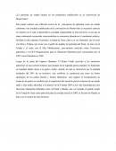 ¿Es Palestina un estado basado en los parámetros establecidos en la convención de Montevideo?