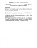 DIAGNOSTICO ESTRATEGICO EXTERNO
