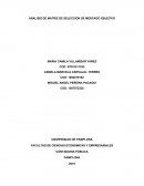 ANALISIS DE MATRIZ DE SELECCION DE MERCADO OBJETIVO