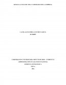 CICLO DE VIDA Y LIDERAZGO DE UNA EMPRESA