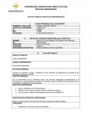 PLAN DE TRABAJO PRACTICAS PROFESIONALES