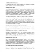 Medicina preventiva. LIDERAZGO ESTRATEGICO