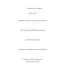 Tema: diseño de identificación del proyecto